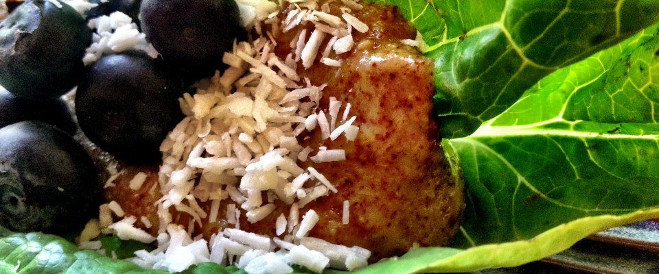 raw food vegan wheat gluten free sandwich